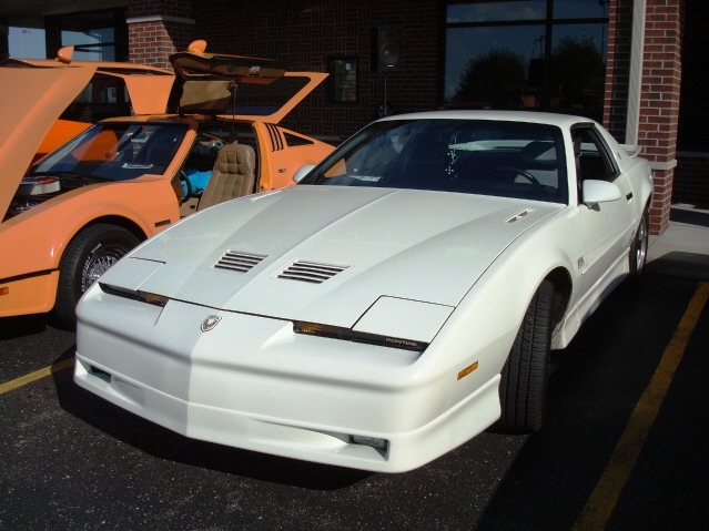 8111_145.jpg