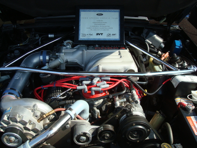 5-29-11 053.jpg