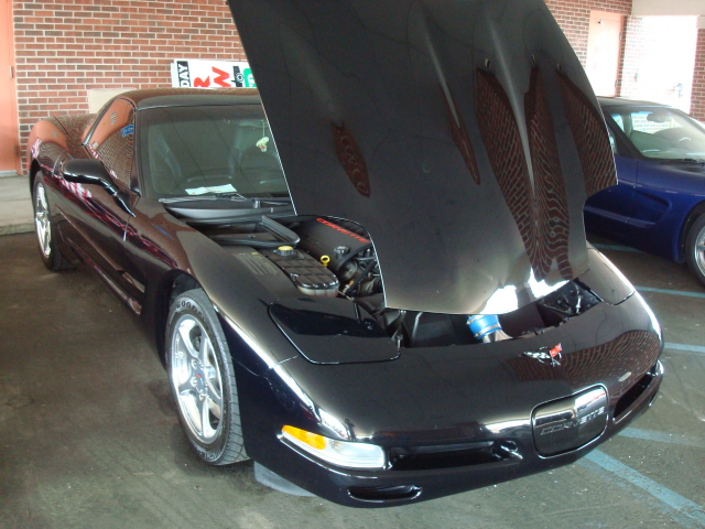 5-29-11 067.jpg