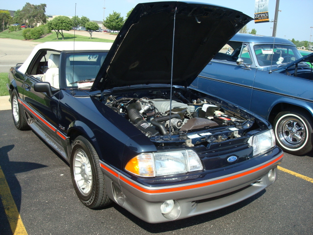 5-29-11 111.jpg