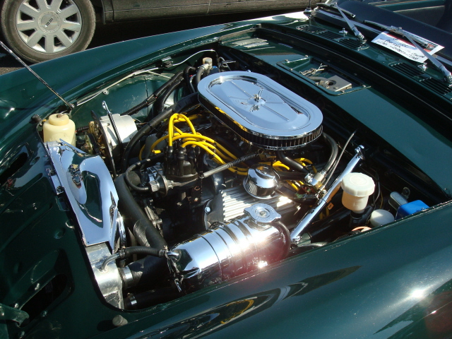 5-29-11 183.jpg
