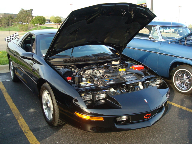 5911_009.jpg