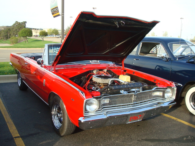 5911_011.jpg
