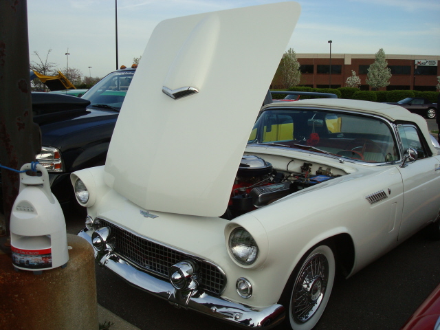 5911_039.jpg