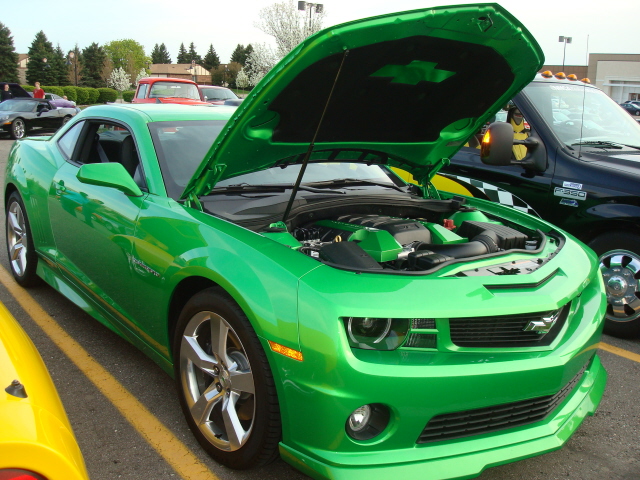 5911_042.jpg