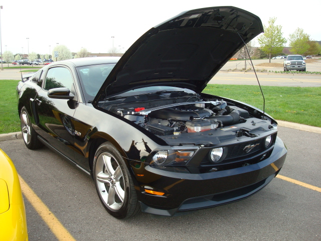5911_043.jpg