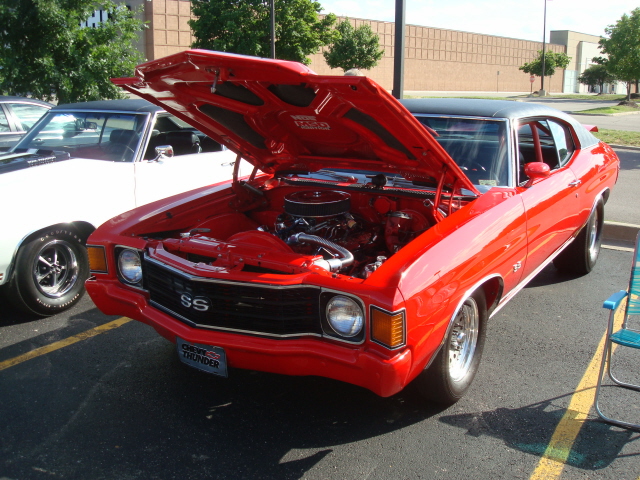 61311_031.jpg