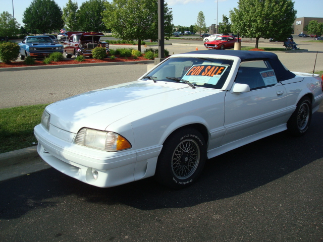 61311_048.jpg