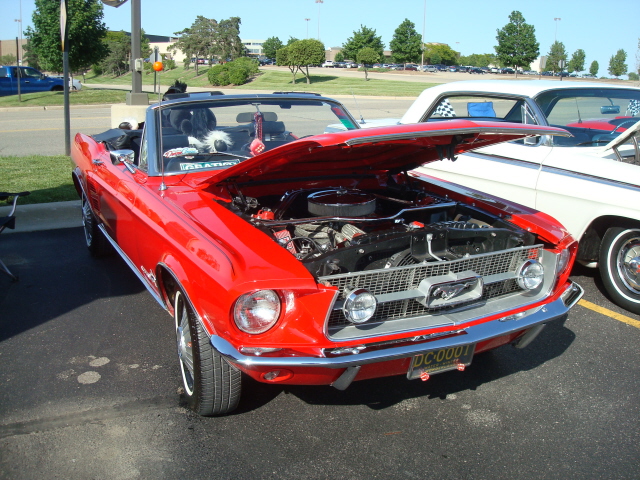 61311_071.jpg