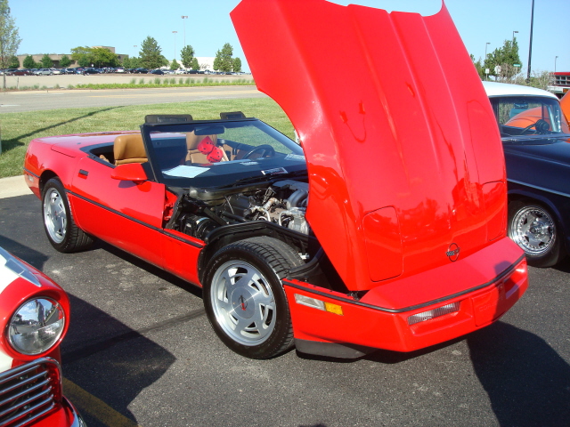 61311_089.jpg