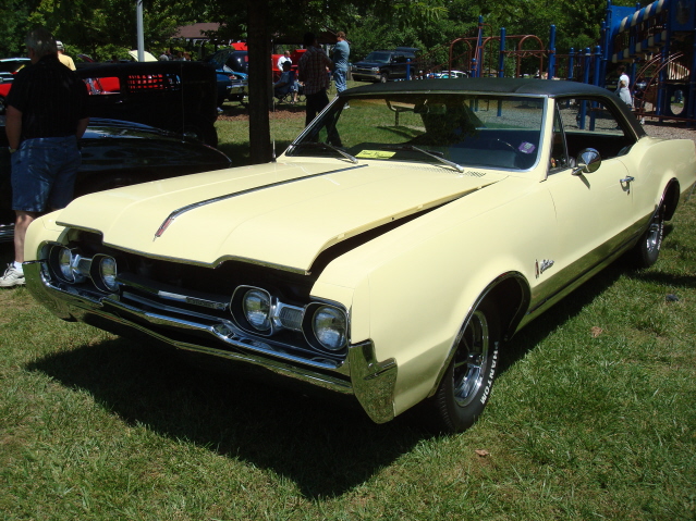 AH 6-25-11 Picnic 042.jpg