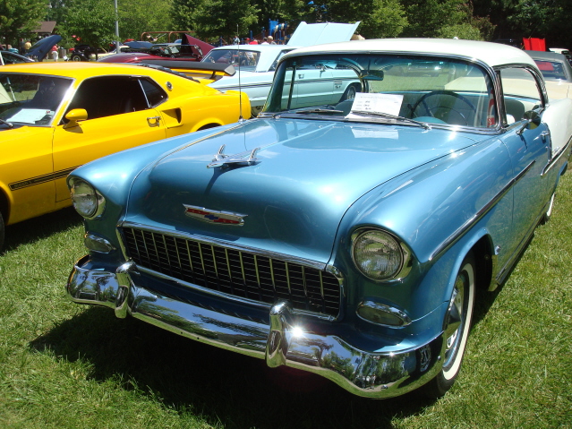 AH 6-25-11 Picnic 050.jpg