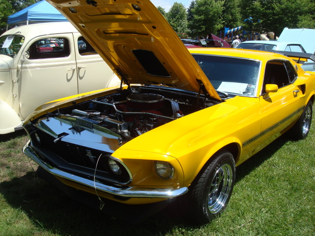 AH 6-25-11 Picnic 052.jpg