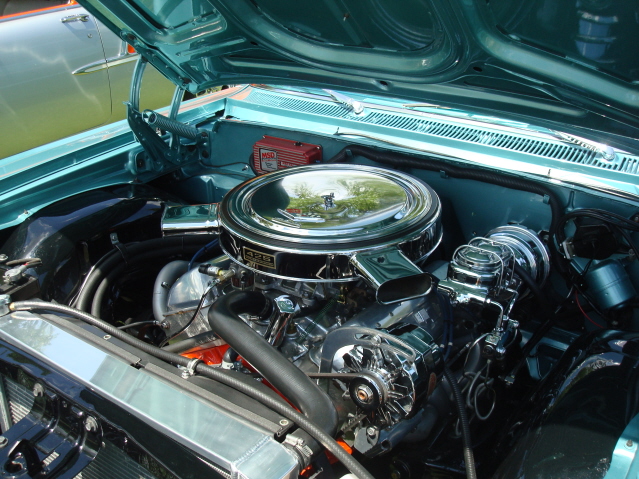 AH 6-25-11 Picnic 076.jpg