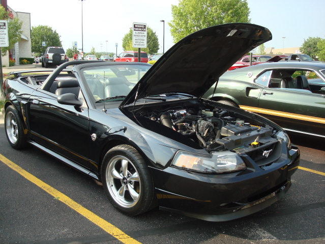 62711_079.jpg