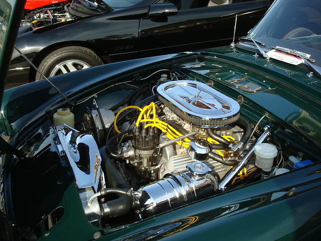 6-6-11 022.jpg
