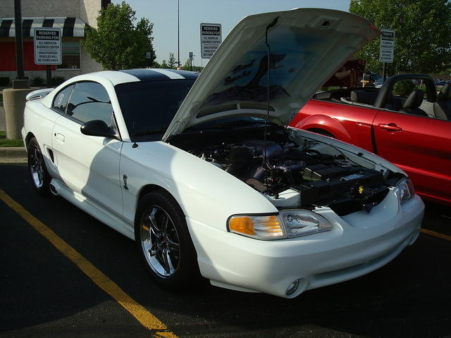 6-6-11 035.jpg
