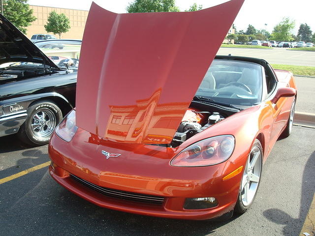 6-6-11 046.jpg
