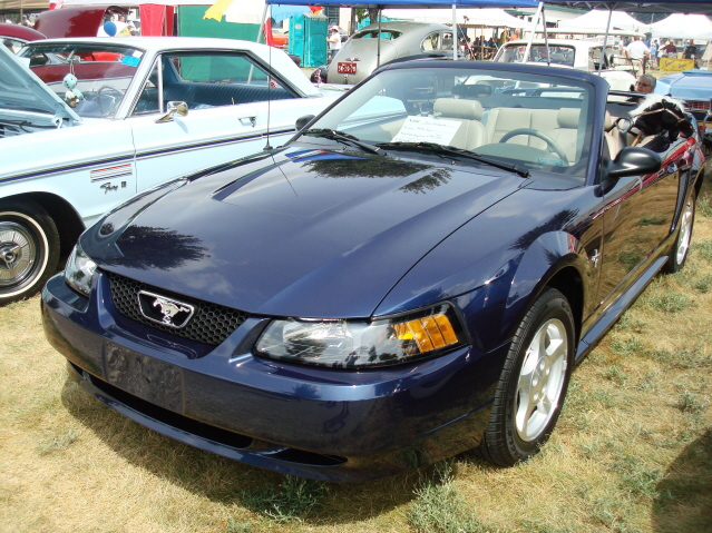 Lions72411_049.jpg