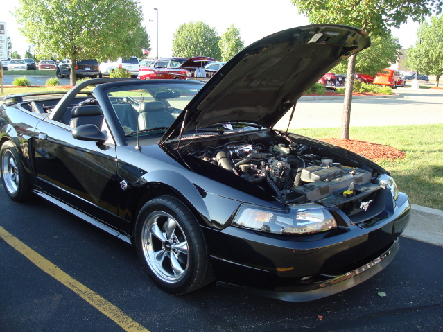 72511_088.jpg