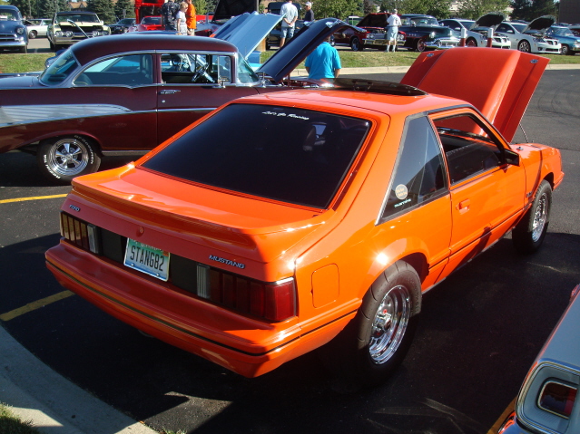72511_177.jpg