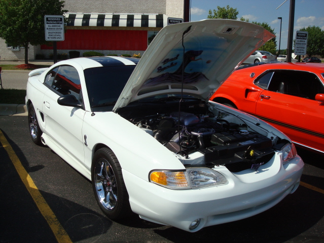 7411_140.jpg