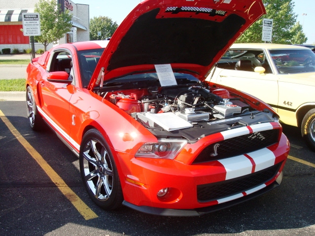 81511_113.jpg