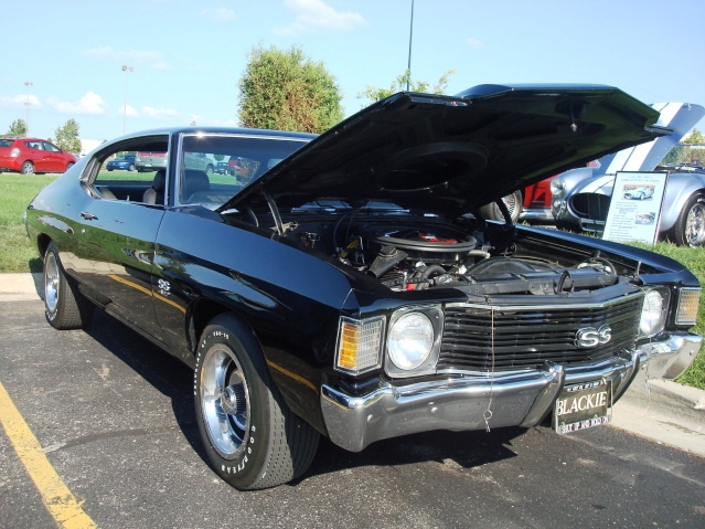 81511_162.jpg