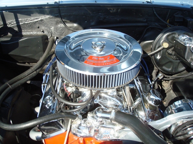 81511_184.jpg