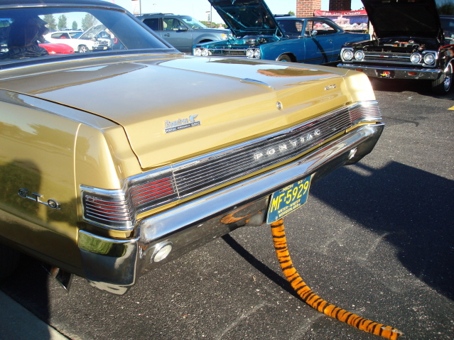 82211_135.jpg
