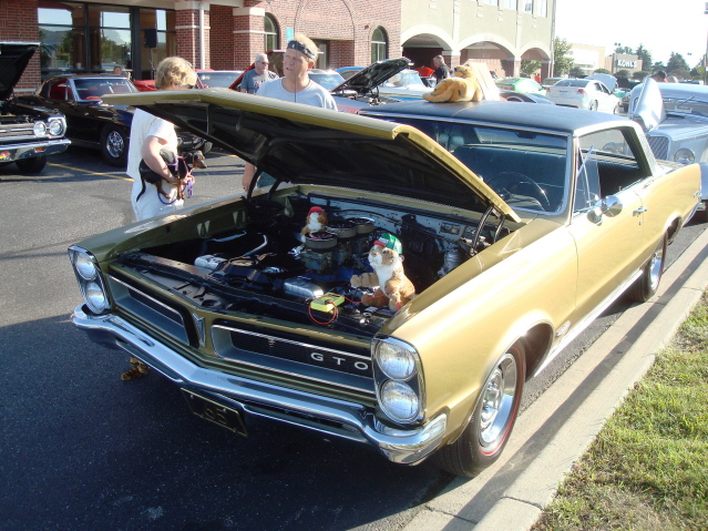 82211_196.jpg