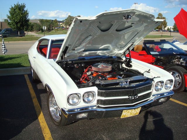 82911_173.jpg