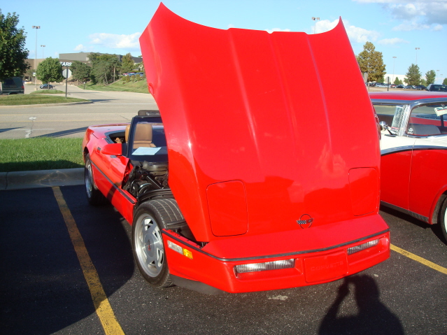 82911_175.jpg
