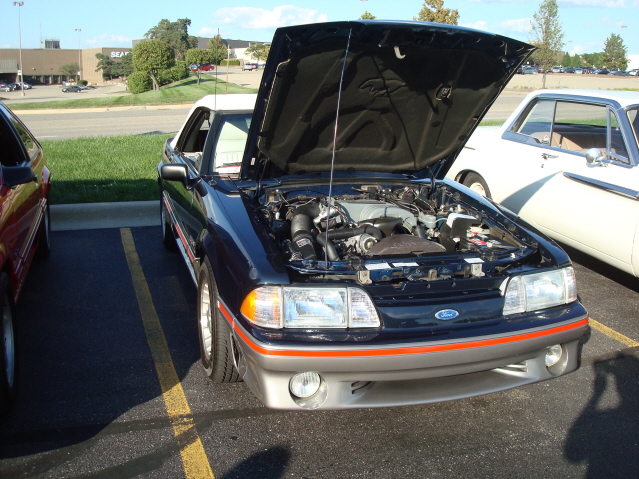 82911_184.jpg