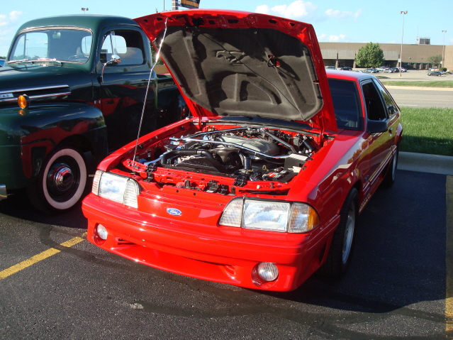 82911_185.jpg