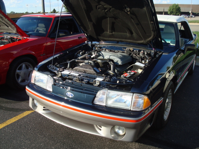 82911_187.jpg