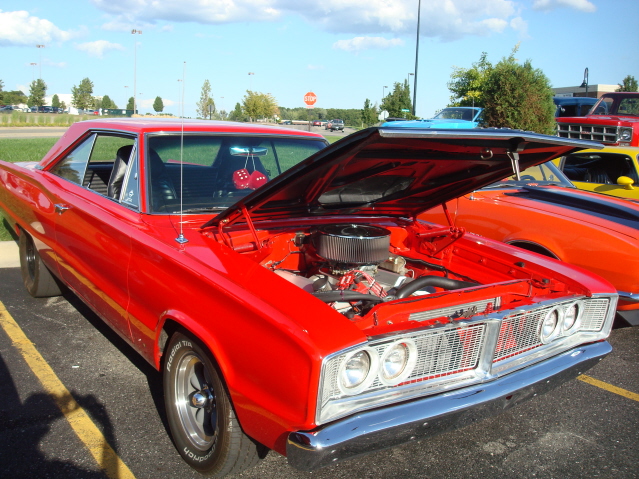 82911_194.jpg