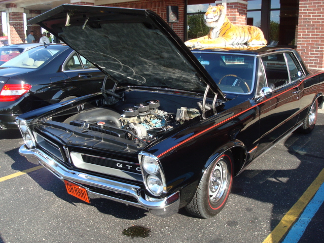 82911_216.jpg
