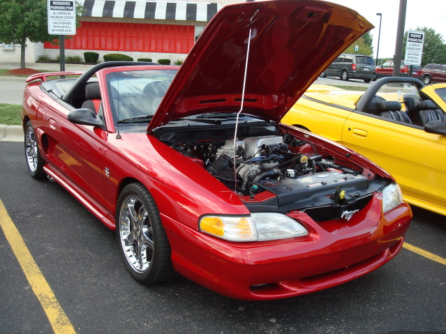 8811_069.jpg
