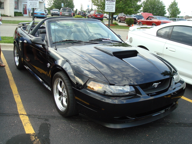 8811_074.jpg