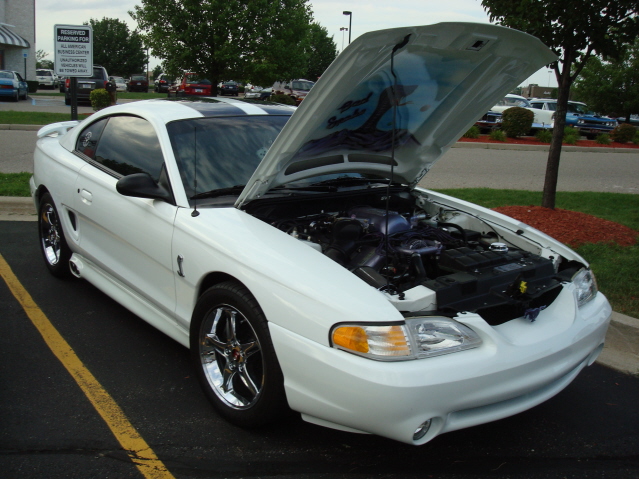 8811_075.jpg
