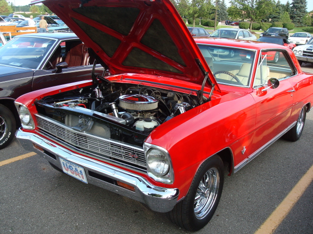 8811_116.jpg