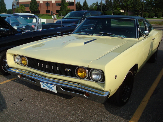 8811_125.jpg