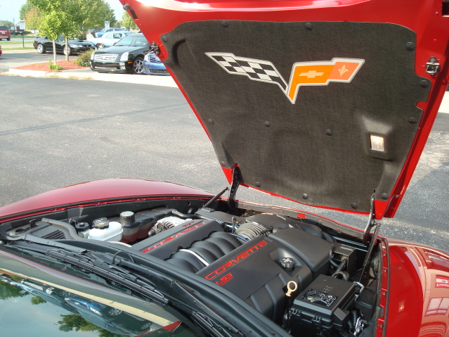91211_082.jpg