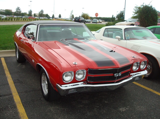 9511_088.jpg
