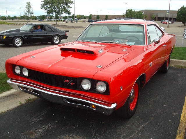 9511_113.jpg