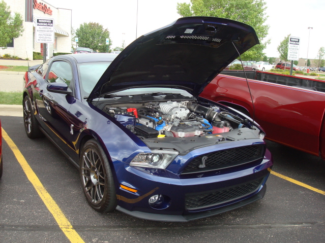 9511_150.jpg