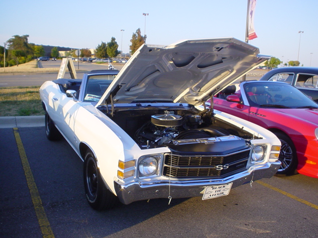 73007_094.JPG