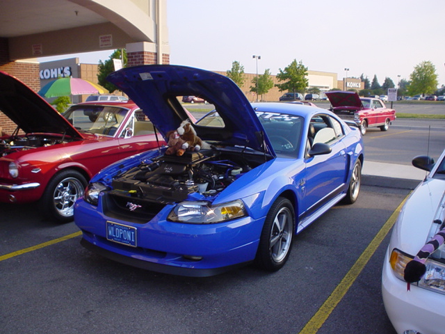 62507_036.JPG