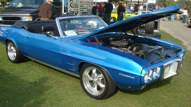 ShelbyLions_008.JPG